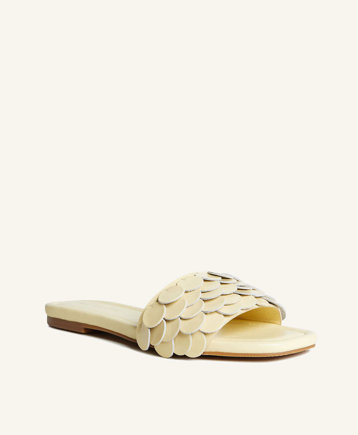 Andy Sandal - Image 3