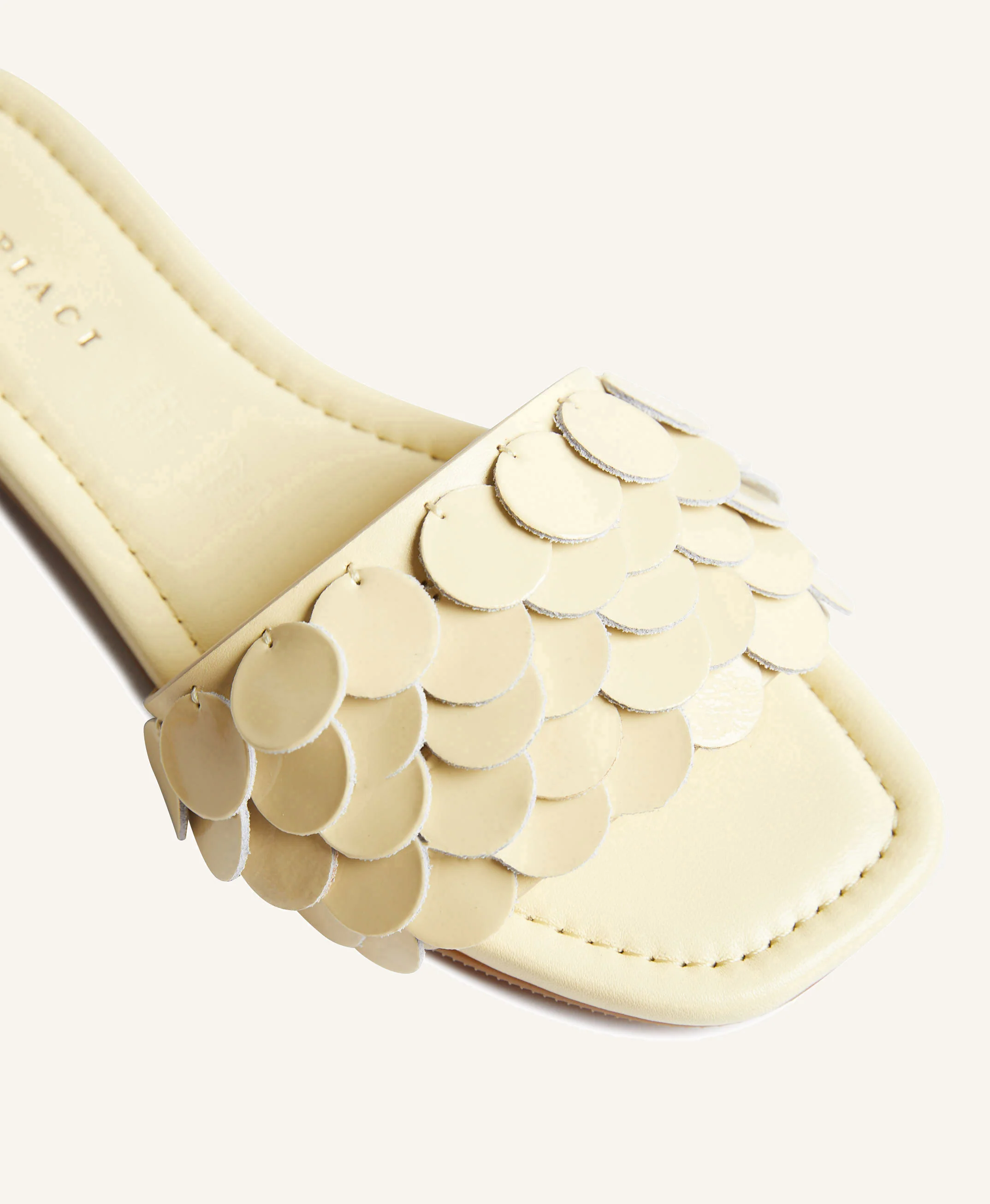 Andy Sandal - Image 6