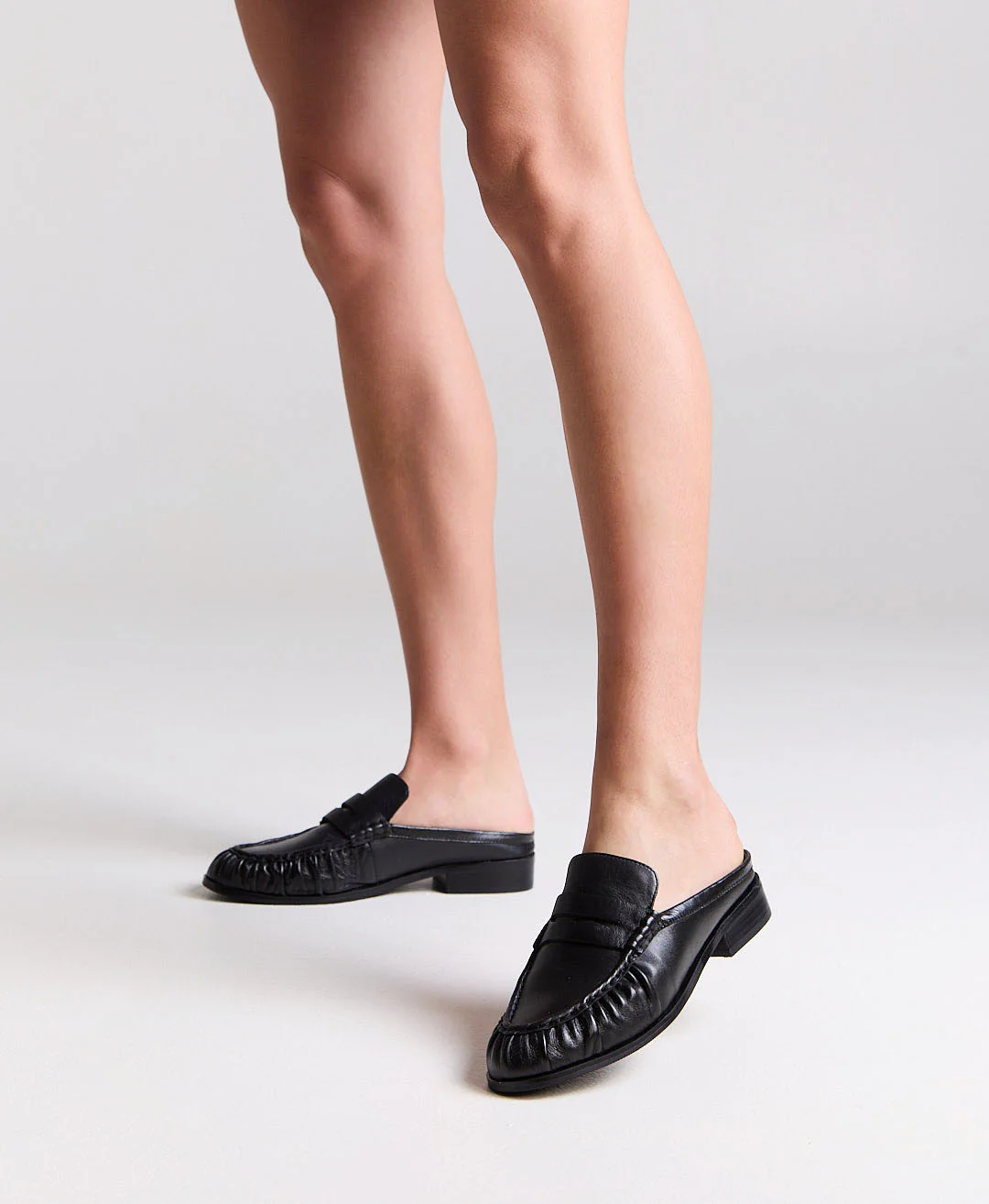 Inez Mule - Image 2