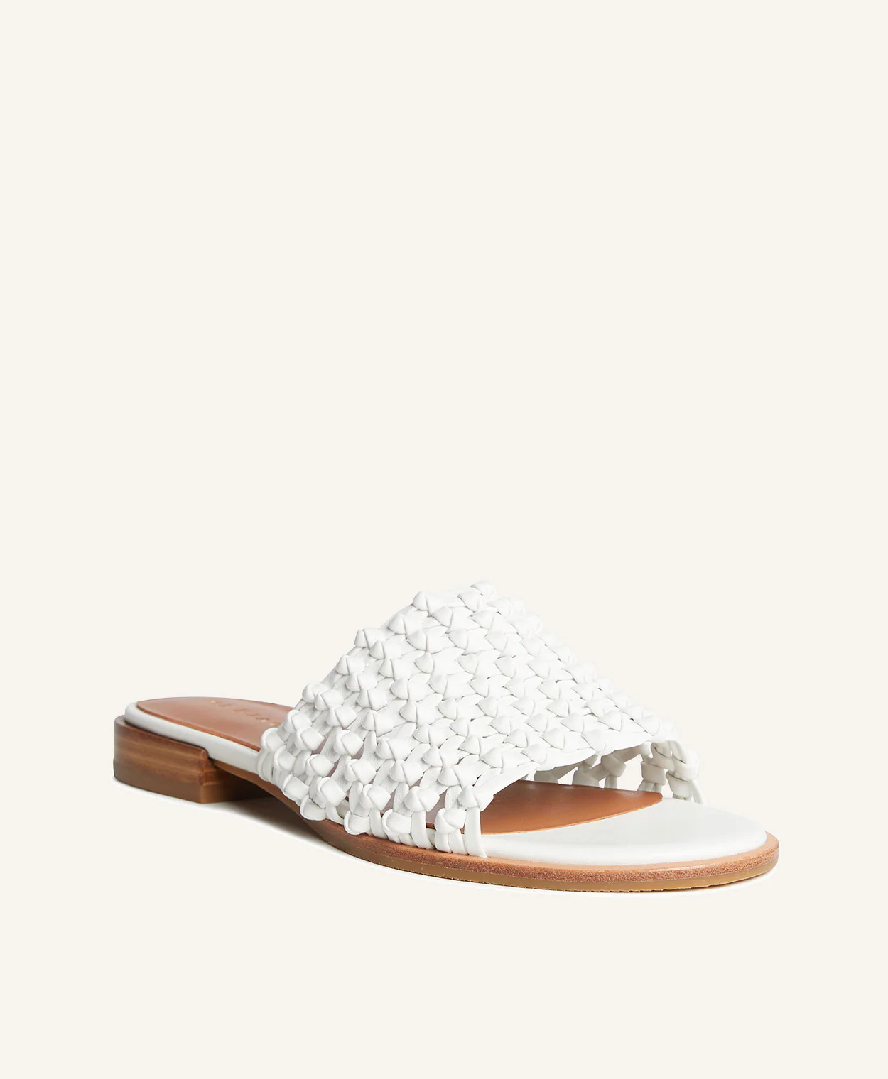 Sue Slide - Image 4